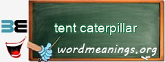 WordMeaning blackboard for tent caterpillar
